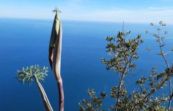 Appartamento mare e monti Two - Foto 35