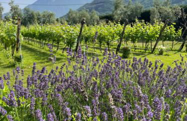 Residence Verdeblu - Foto 19