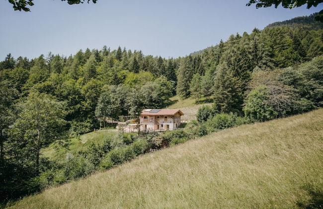 Maso nel bosco - Photo 62