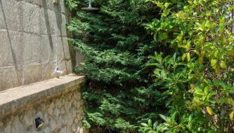 Dimora Marsanou - Natura relax e BBQ nel Salento - Foto 2, Garden, Garden view, Shower