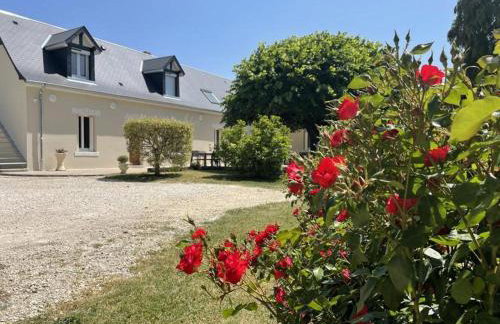 Les Roseaux Comme à la maison prés des châteaux de la Loire - Foto 18