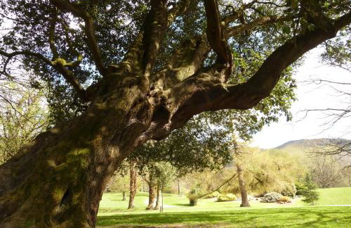 Crotlieve Barn - Photo 53