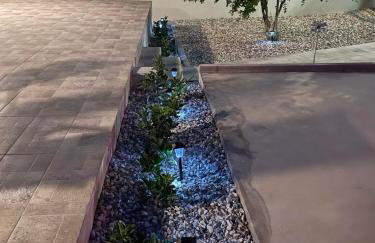 Limone d'oro - Foto 23