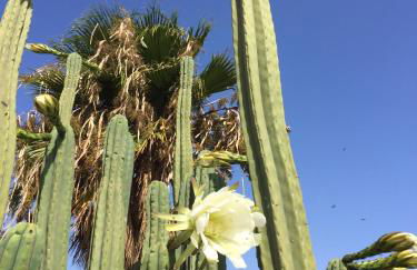 Casa Lili - Shared Pool - Close to Seafront Promenade - Sea Views from upper terrace - Foto 32