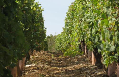 La Maison du Clos du Roi - Foto 73