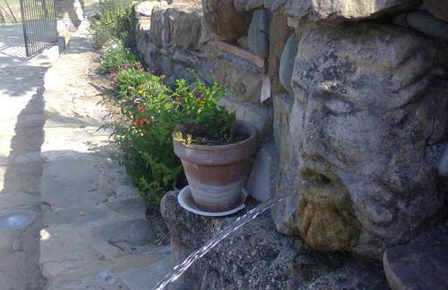 Agriturismo San Pietro - Foto 137