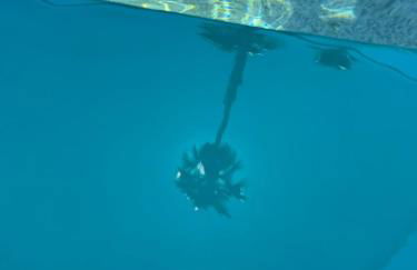 Summer fun in Indian Wells. Private Pool, 4BD, 3BA. - Foto 39