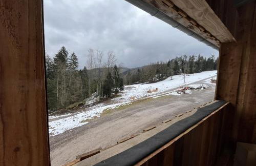 Gîte du dahu barbu - Foto 3