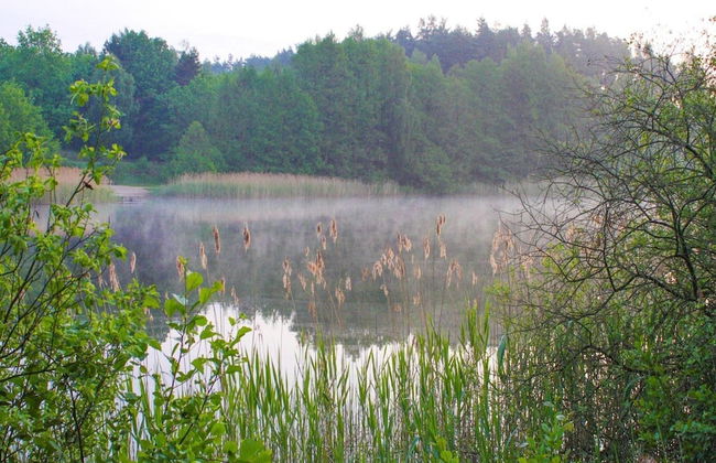 Doppelhaushalfte Seestern, Lohmen - Foto 22