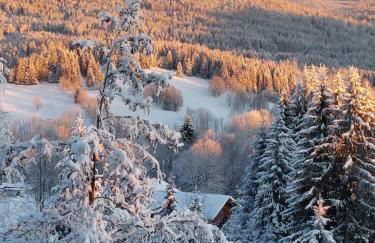 Apartment Almberg - Foto 17