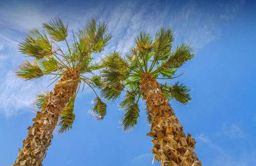 Gelso Bianco Apartments - Foto 31