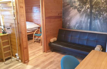 domki domek na jeziorem Wilczyńskim Budzisławskim , las, osobno ogrodzony 2-6 osób- klimatyzacja, ogrzewanie, 62-550 Zygmuntowo gm Wilczyn - Foto 14