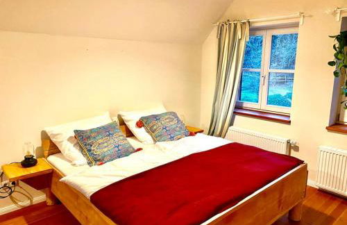 Urlaub mit Hund im Ferienhaus am Wingster Wald - Foto 19