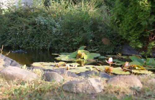 Ferienwohnung Elfriede im Haus Namenlos - Foto 14