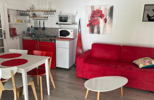 Chai Saint Jean COQUELICOT Piscine et SPA - Foto 4