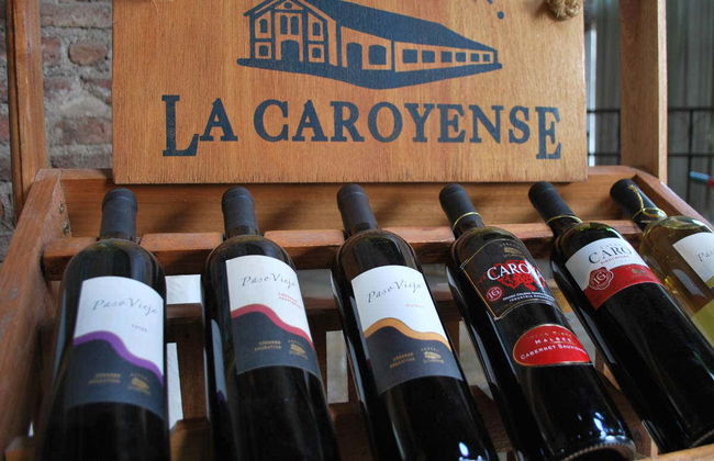 Excursão pelas adegas de Colonia Caroya - Photo 4