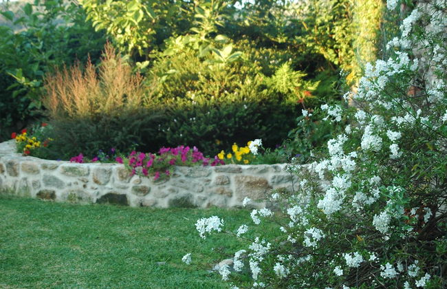 Os Migueliños - Foto 32