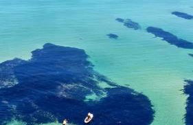 Coastal Links - Foto 21