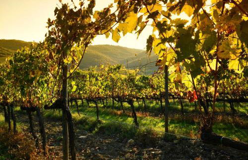 Luxury Serviced Cottage in a Historical Chianti Borgo - Foto 52