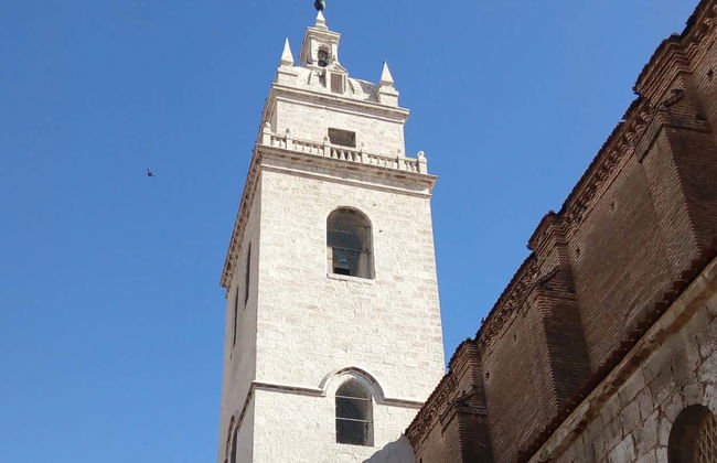 Tour in Tordesillas - Foto 2