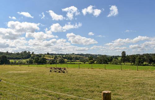 Forget-Me-Not - Uk37646 - Foto 15