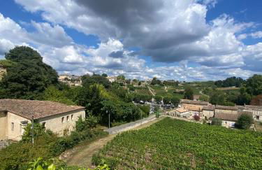 La Madeleine, nichée au cœur de Saint-Émilion - Foto 24