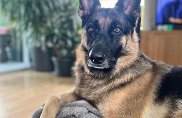 Charaktervolle Whg mit Parkplatz nähe Kassel - Foto 52