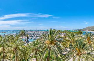 Ideal Property Mallorca - Butterfly - Foto 25