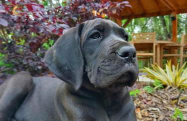 Bienvenue à la ferme - Foto 17