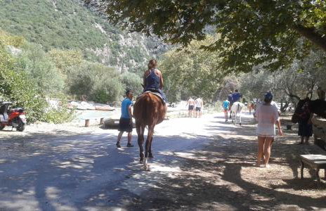 Ammoudia Residence - Foto 18