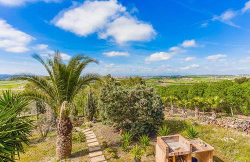 Finca Can Tomeu - Photo 12