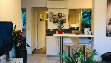 Bel appartement - 50m2 à 7 minutes du centre au calme - Foto 2