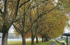Gemütliche zwei Zimmer Wohnung am Rhein - Foto 14