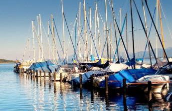 Bergfrühling - Foto 19