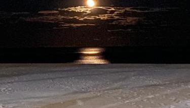 NEW STYLISH BEACH FRONT APARTMENT - Foto 2