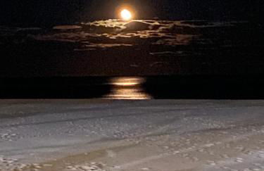 NEW STYLISH BEACH FRONT APARTMENT - Foto 2