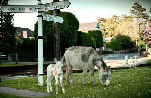 Railway Terrace - Foto 31