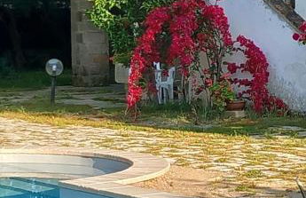 MASSERIA INCANTAMENTO Suite Bouganville - Foto 22