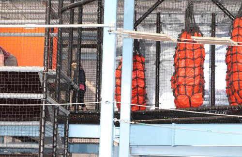 3 Trem Y Dolydd - Foto 31