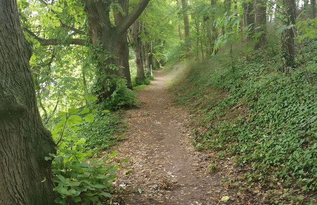 Lakeside Escape With Garden Fun - Foto 13