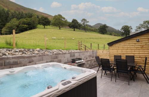 Bwthyn Camlan - Photo 29