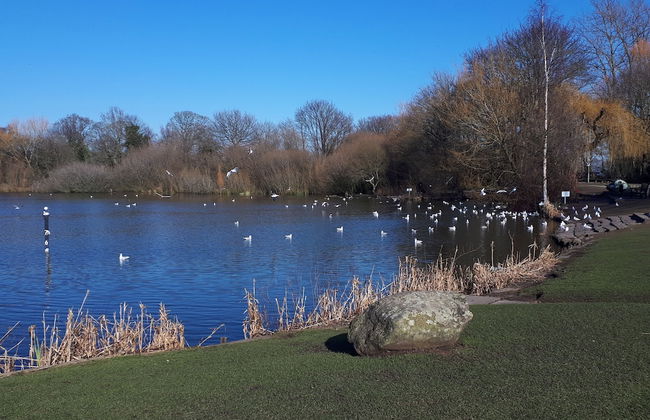 Beautiful Romantic Village House With Netflix - Photo 16