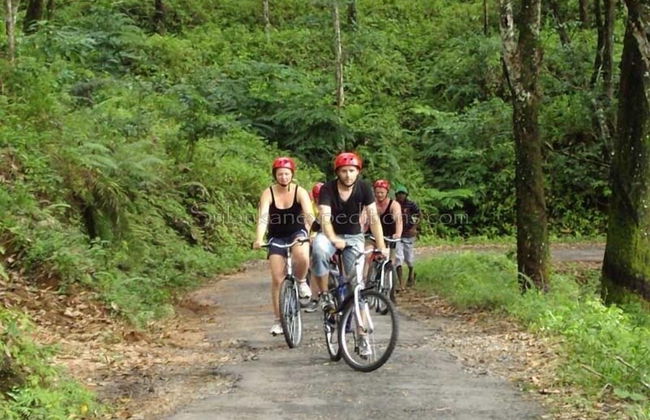 Villa Mount Royal - Foto 28