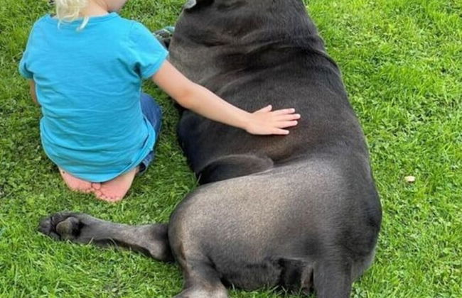 Lovely Holiday Home With Sauna - Foto 25