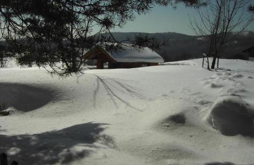 Ferienwohnungen Krieger - Foto 11