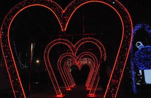 L'echappee belle - Foto 56