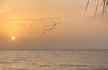 Strofilia Farm House, Kalogria! The Sea, The Forest, The Sun - Foto 68