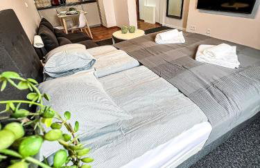 Skandi Studio - Foto 9