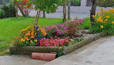 a casa di nonna Tarsilla-entire apartment,5 guests - Foto 5, Garden