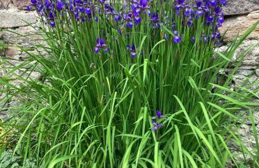 Dom Gościnny Zarembianka - Foto 76